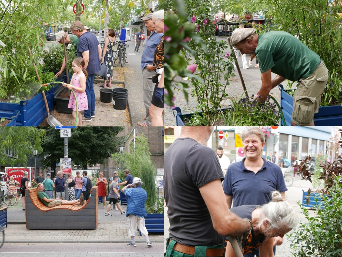 Fotos der Pflanzaktion